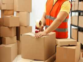 FedEx Packers and Movers in Gurgaon, Gurgaon