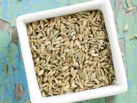 Benefits of Fennel Seeds in Turkey, Ağrı