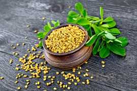 Nutritional Value of Fenugreek Seeds, Acton