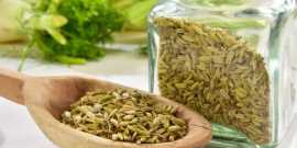 Fennel Seed Nutrition Facts and Health Benefits, Claymont