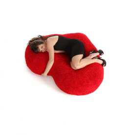 Elevate Your Room With A Red Heart Pillow, ps 140