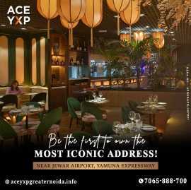 Ace YXP Elevating Commercial Excellence 7065888700, Noida