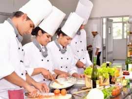 Govt Hotel Management Colleges, Jaipur