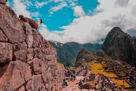 Explore Manu National Park with Booking Inca Jungl, Cusco