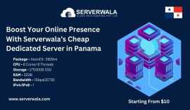 Serverwala’s Cheap Dedicated Server in Panama, Buabidi