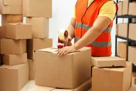 FedEx Gurgaon Shipping Service, Gurgaon