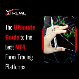 The Ultimate Guide to the best MT4 Forex Trading P, Port Louis