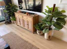 Enjoy The Elegance of Artificial Plant Pots Online, Melbourne