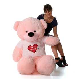 Premium Pink Bear Plush - Quality Cuddles , ps 170