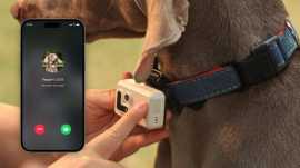 Save Big on GPS Pet Trackers in Australia, $ 199