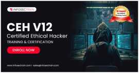 Ethical Hacker Training Online, Manila