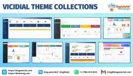 VICIDIAL THEME COLLECTIONS, Baskent