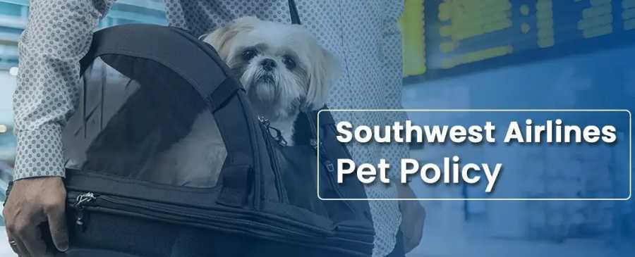 southwest pet travel policies