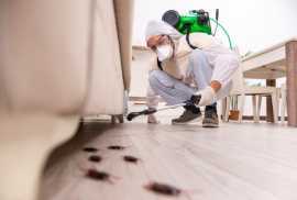 Reliable Residential Pest Control Services, Calgary
