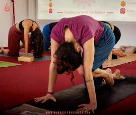 Best Yoga Teacher Training in Rishikesh, Rishikesh