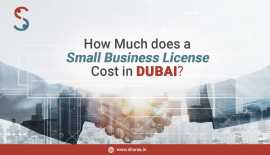 How Much Does A Small Business License Cost In Dub, Delhi