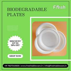 Biodegradable Tableware in India - Fresh Tableware, ₹ 10