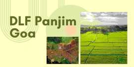 DLF Panjim Goa: Redefine Luxury Living plot, Panjim