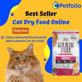 Get High-Quality Cat Dry Food Online Singapore, Novena