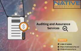 Professional Tribal Financial Auditing Services, San Diego