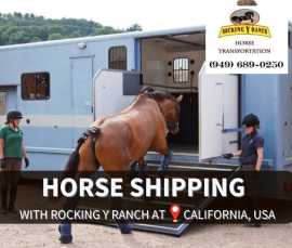 Specialized Equine Transportation | Rocking Y Ranc, Joshua Tree