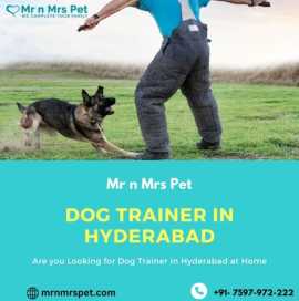 Professional Dog Trainer in Hyderabad, Hyderabad