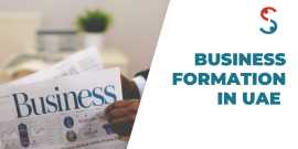 Business Formation In UAE, Delhi