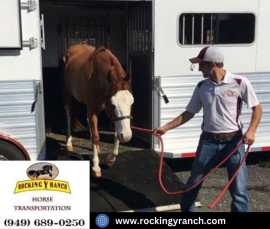 Rocking Y Ranch: Reliable Horse Trucking Companies, Joshua Tree