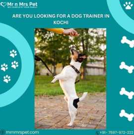Best Dog Trainer in Kochi , Kochi