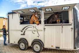 Horse Transportation In California in Your Budget , Joshua Tree