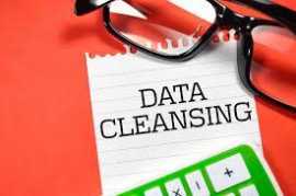 Data Cleansing Tool, Princeton