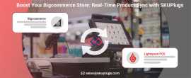 Boost Your Bigcommerce Store: Real-Time Product , New York