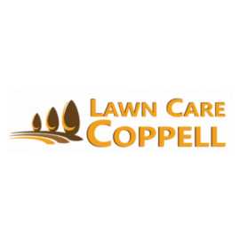 Weed Control Coppell TX: Expert Solutions for a Pr, Coppell