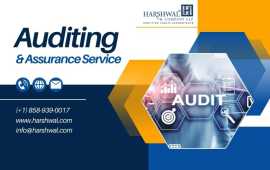 Precision Auditing & Assurance Services , San Diego