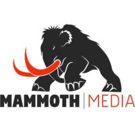 Mammoth Media, Irvine