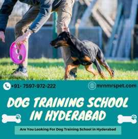  Best Dog Training School in Hyderabad, Hyderabad