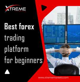 Best forex trading platform for beginners, Sangli