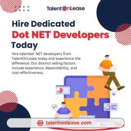 Hire Dedicated Dot NET Developers Today, Noida