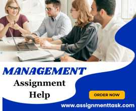 Management Assignment Writing Help for MBA Student, London