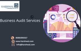 Trusted Auditing and Assurance Services, San Diego