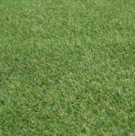 Looking for affordable Fern 20mm Artificial Grass?, £ 9