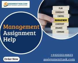 Management Assignment Help with Solutions, Dubai