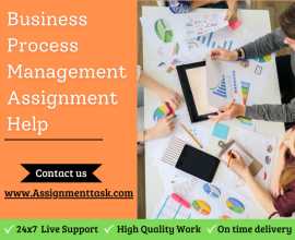 #1 Business Process Management Assignment Help UK, London