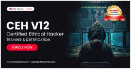 Certified Ethical Hacker (CEH v12) Online Training, New York