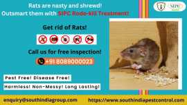 Best Rat Control Services in Bangalore, Bengaluru