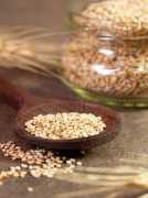 Uses of Brown Sesame Seeds, Najran