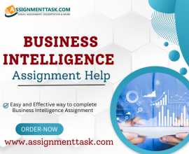 Business Intelligence Assignments by Professionals, Ocean City