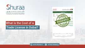 What is the Cost of a Trade License in Dubai?, Saket