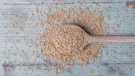 Nutrition and Various Sesame Seed Types in Canada, Willingdon