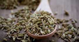 Importance of Fennel Sesame Seeds in Your Morning , Sakaka